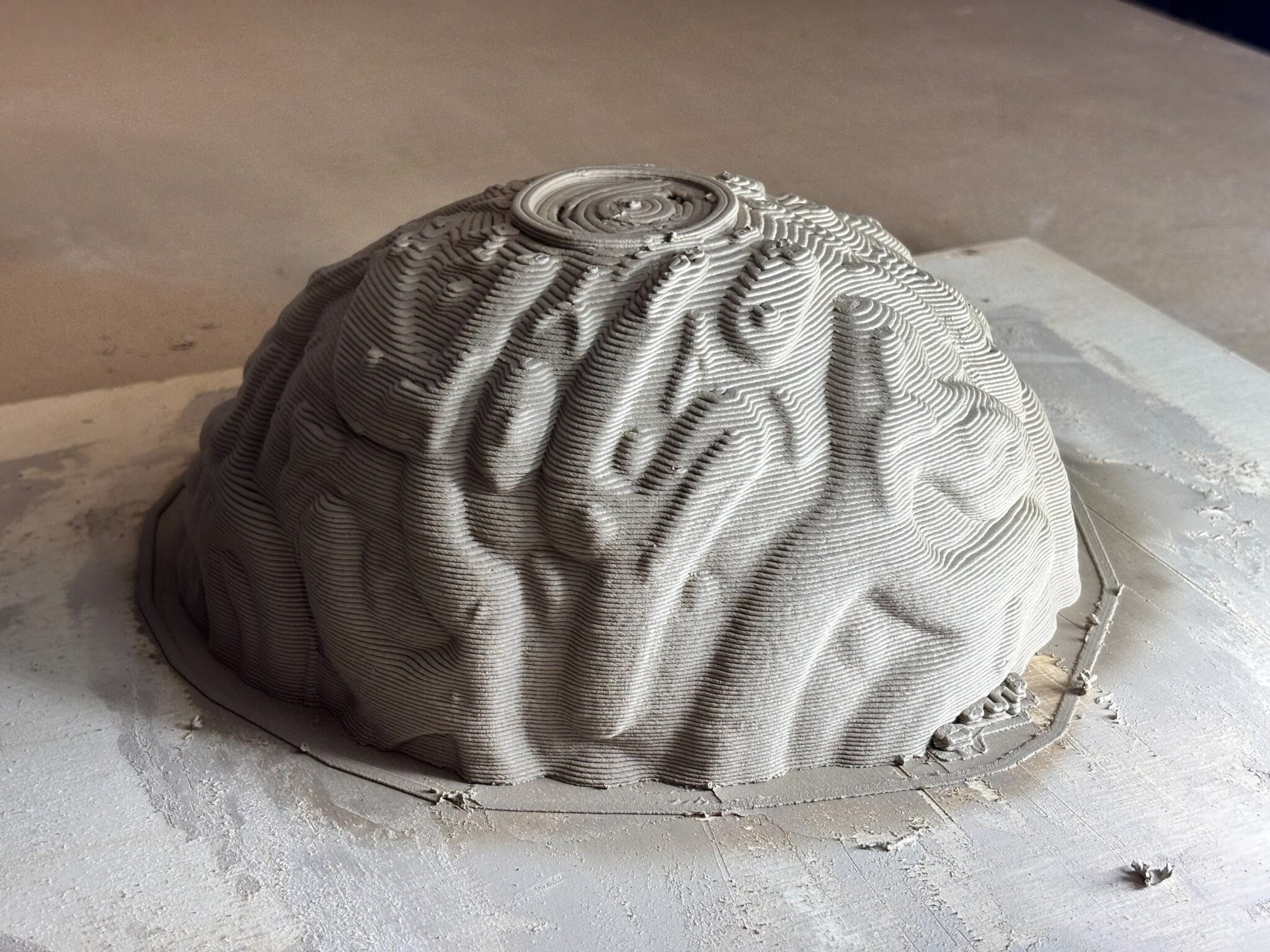 SEEDART — Bol