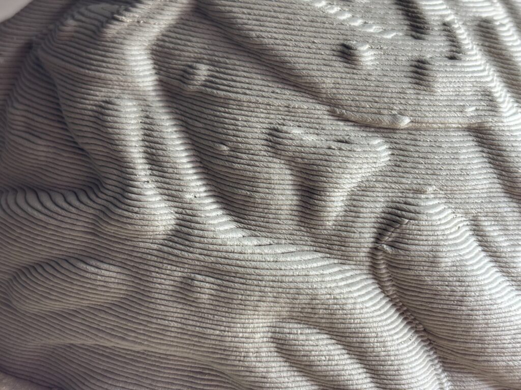 SEEDART — Bol
